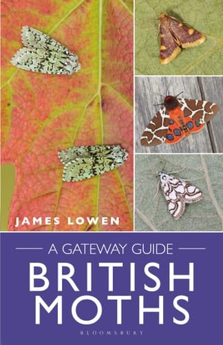 British Moths A Gateway Guide