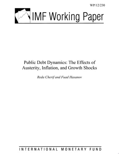 Public Debt Dynamics The Effects of Austerity, Inflation, and Growth Shocks