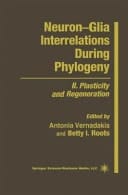 Neuron—Glia Interrelations During Phylogeny II. Plasticity and Regeneration