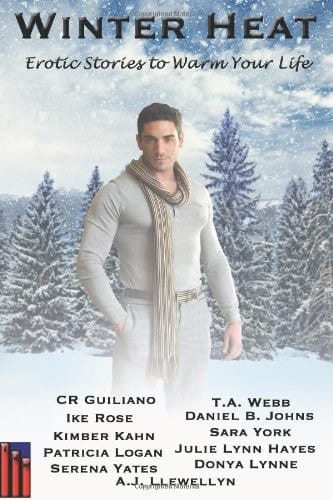 Winter Heat: Erotic Stories to Warm Your Life