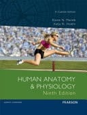 Human Anatomy and Physiology (Custom Edition)