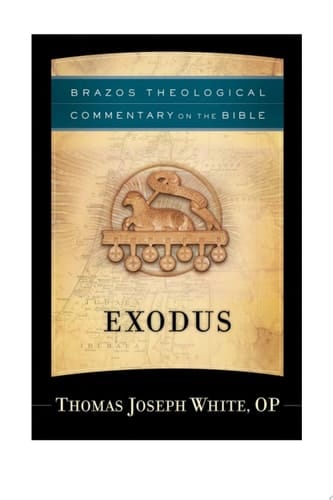 Exodus (Brazos Theological Commentary on the Bible)