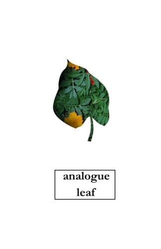 Analogue Leaf 2013