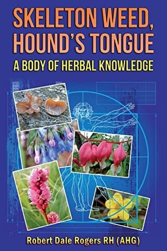 Skeleton Weed, Hound's Tongue A Body of Herbal Knowledge
