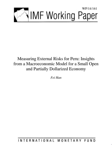 Measuring External Risks for Peru Insights from a Macroeconomic Model for a Small Open and Partially Dollarized Economy