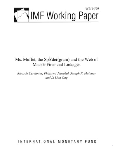 Ms. Muffet, the Spider(gram) and the Web of Macro-Financial Linkages