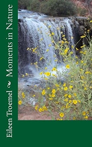 Moments in Nature