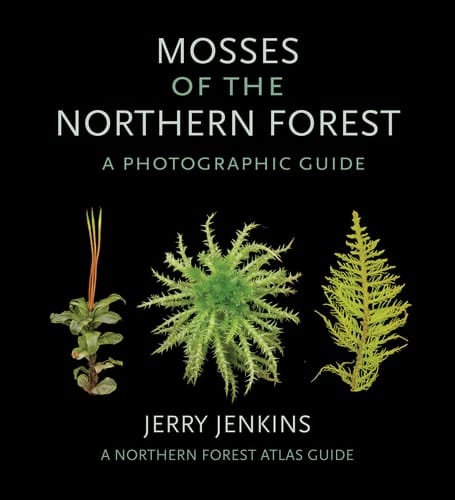 Mosses of the Northern Forest A Photographic Guide
