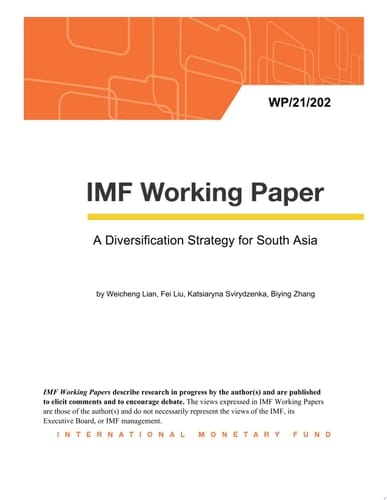 A Diversification Strategy for South Asia