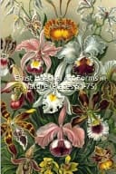 Ernst Haeckel Art Forms in Nature (Plates 51-75) (Introductions to Art) 25 Full Color Plates