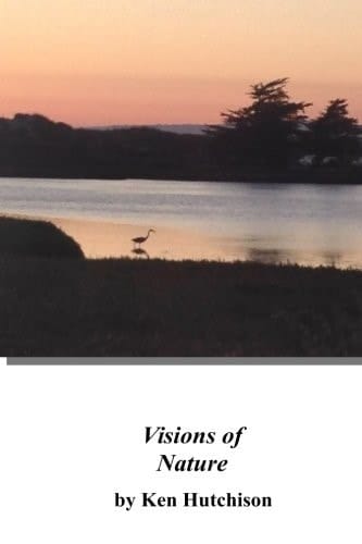 Visions of Nature