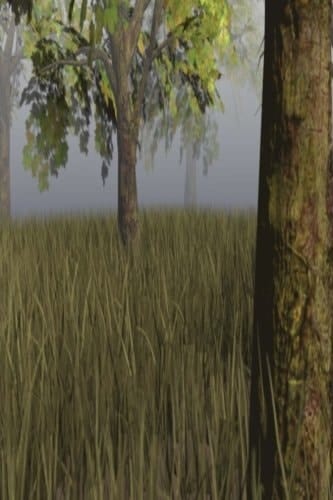 The Nature Diary