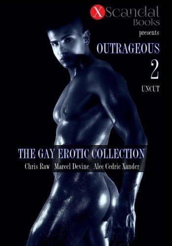 Outrageous 2 The Gay Erotic Collection
