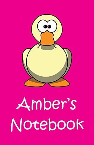 Amber's Notebook