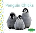 Penguin Chicks