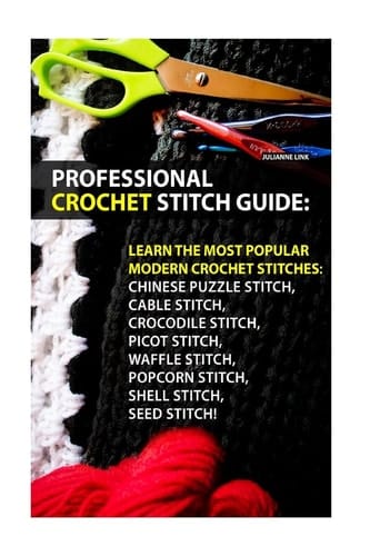 Professional Crochet Stitch Guide Chinese Puzzle Stitch, Cable Stitch, Crocodile Stitch, Picot Stitch, Waffle Stitch, Popcorn Stitch, Shell Stitch, Seed Stitch!: (Crochet Hook A, Crochet Accessories)