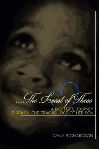 The Least of These A Mother's Journey Through the Tragic Loss of Her Son