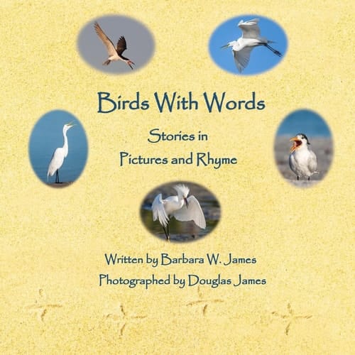 Birds With Words Stories in Pictures and Rhyme