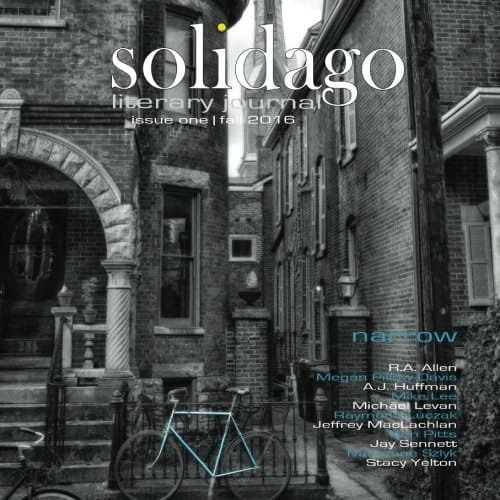 Solidago Fall 2016
