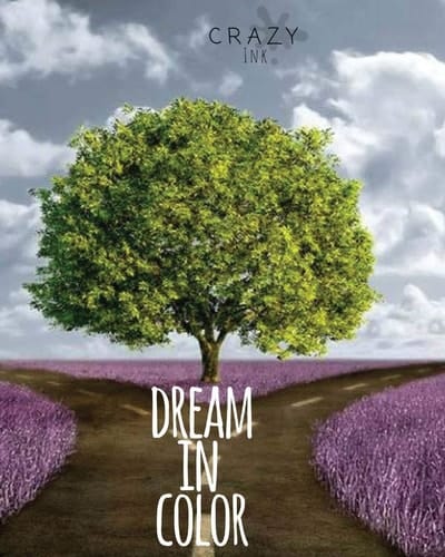 Dream in Color Journal