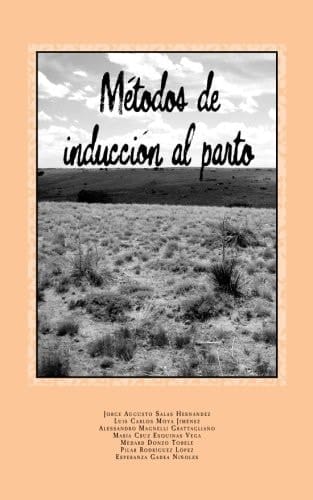 Métodos de Inducción Al Parto
