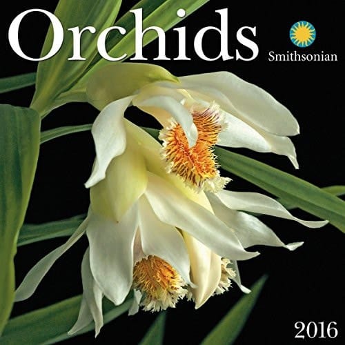Orchids 2016 Wall Calendar