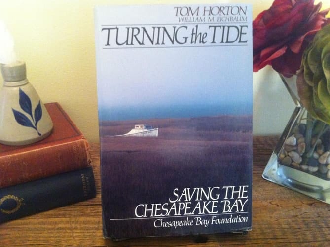 Turning the Tide: Saving The Chesapeake Bay