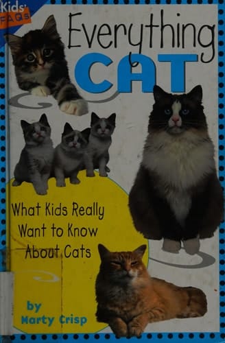 Everything Cat