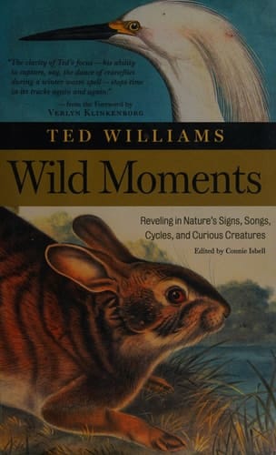 Wild Moments