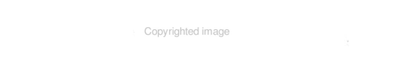 Proceedings of the 2001 ACM SIGCPR Conference April 19-21, 2001, San Diego, California
