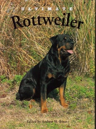 The Ultimate Rottweiler