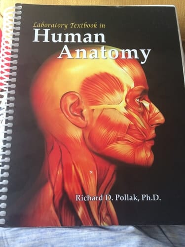 Laboratory Textbook in Human Anatomy