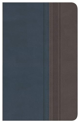 Biblia Clásica Edición Especial Duo Tono Gris-Azulado