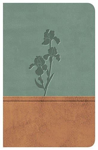 Biblia Clásica Edición Especial Duo Tono Pardo-Menta