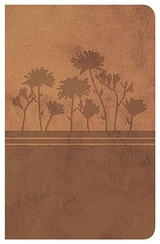 Biblia Clásica Edición Especial Ocre