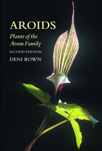Aroids: Plants of the Arum Family