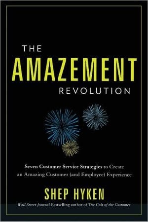 Amazement Revolution: Seven Customer Service Strategies to Create an Amazing Customer  Experience