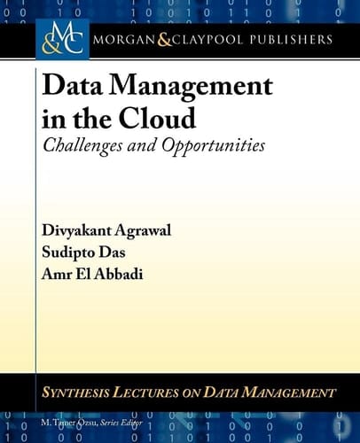 Data Management in the Cloud Challenges and Opportunities
