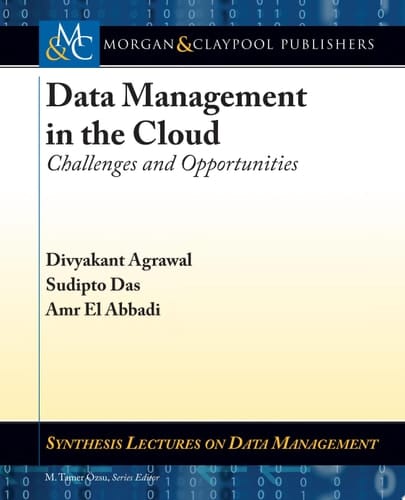 Data Management in the Cloud Challenges and Opportunities