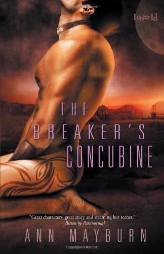The Breaker's Concubine