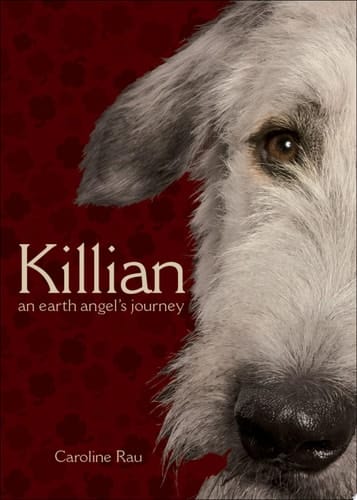Killian An Earth Angel's Journey