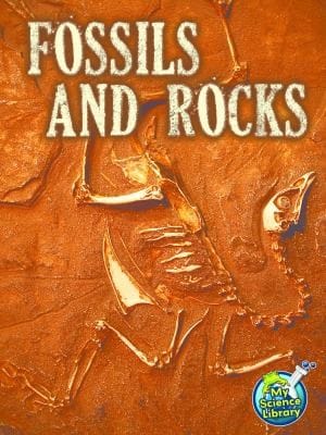 Fossils And Rocks