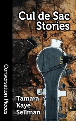 Cul de Sac Stories (Conversation Pieces)