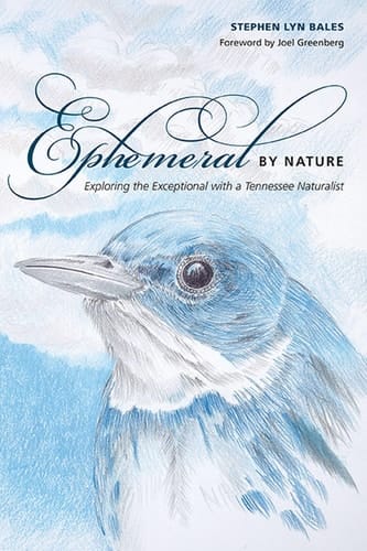 Ephemeral by Nature Exploring the Exceptional with a Tennessee Naturalist