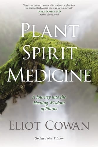 Plant Spirit Medicine A Journey into the Healing Wisdom of Plants