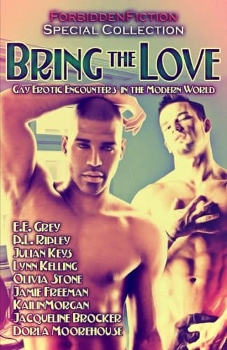Bring the Love Gay Erotic Encounters in the Modern World