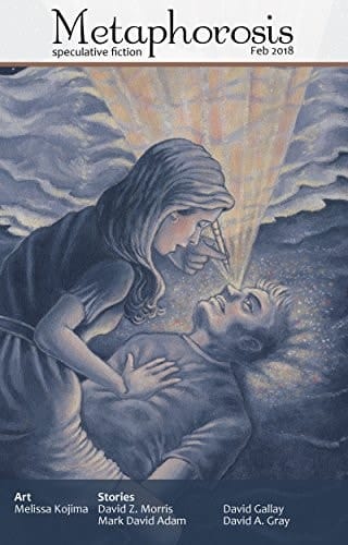 Metaphorosis February 2018 (Metaphorosis Magazine Book 26)