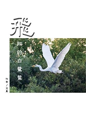  The Flying Egret (Traditional Chinese Edition)