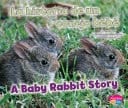 La Historia de un Conejo Bebé/a Baby Rabbit Story