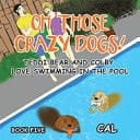 Oh! Those Crazy Dogs! Teddi Bear and Colby Love Swimming in the Pool